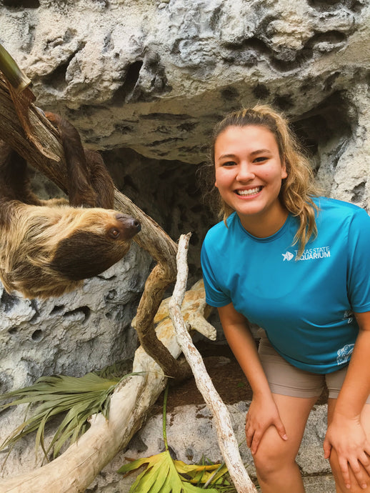 Lessons I learned as a Zoological Intern