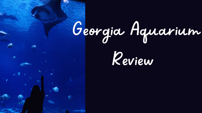 Georgia Aquarium Review